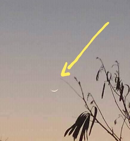 ١٩١٤٢٠