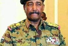 FB IMG 1589146308527