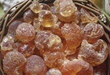 FB IMG 1593079898640