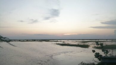 IMG 20200822 WA0293