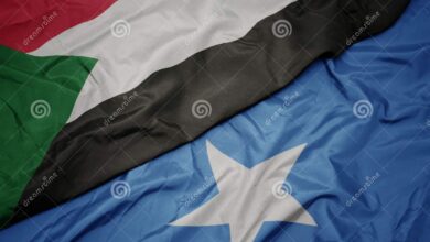 IMG ٢٠٢٠٠٩١٠ ١٩٠٥٣٧