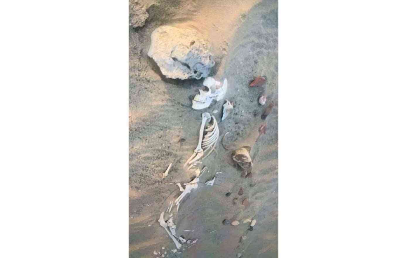 عظام بشرية