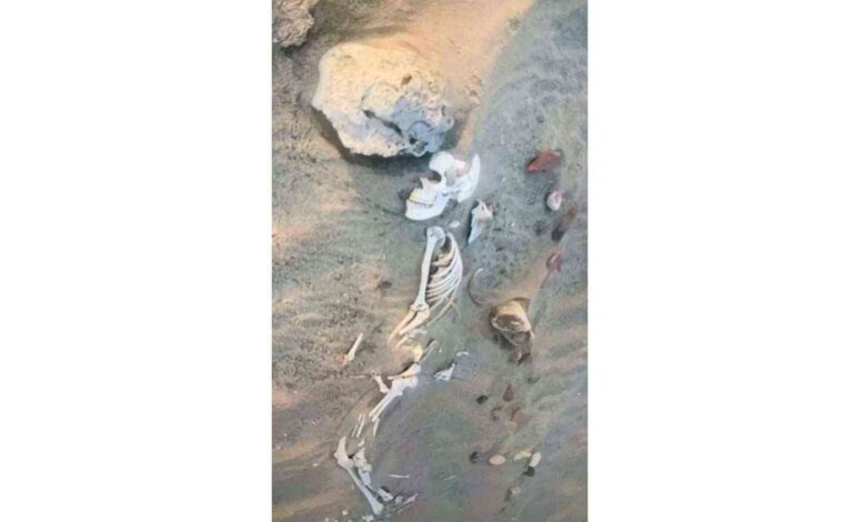 عظام بشرية