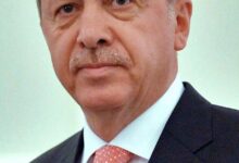 Recep Tayyip Erdogan June 2015