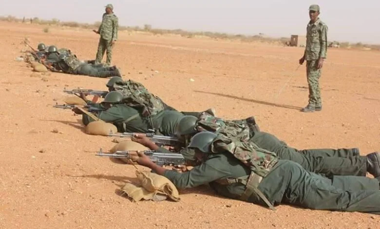 الدعم السريع