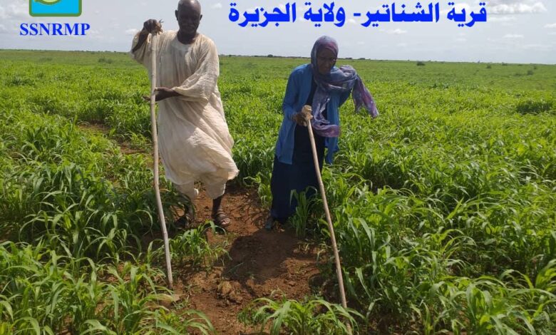 مشروع السودان
