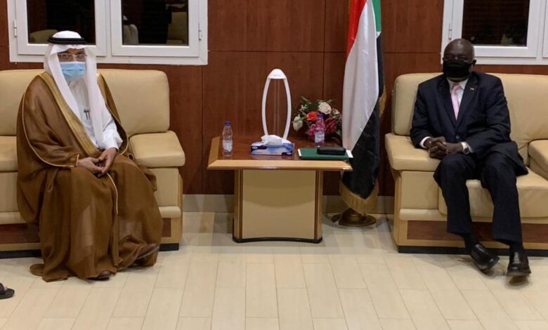 المالية والسفير