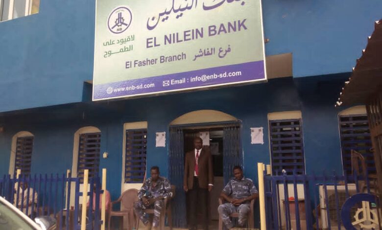 بنك النيلين