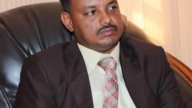 محمد ادريس مقالات