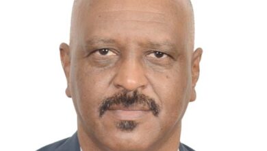 شاهين