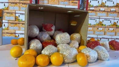 مخدرات برتقال
