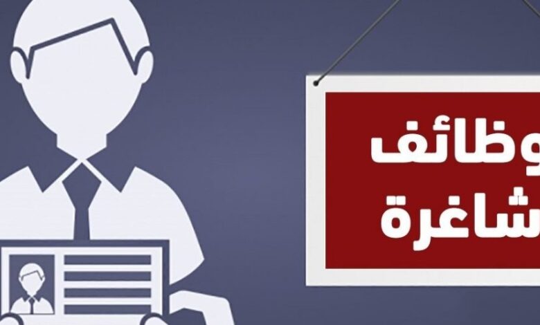 IMG ٢٠٢٢٠٥١٩ ٢١١٣٢٠ 780x470 1