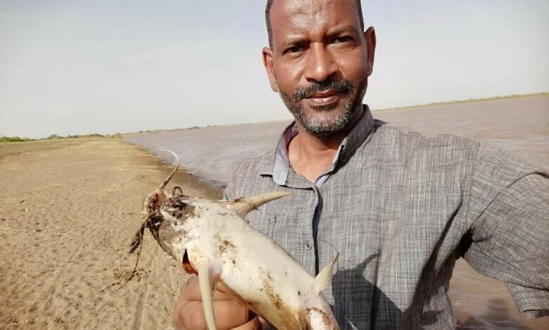 FB IMG 1689055753616