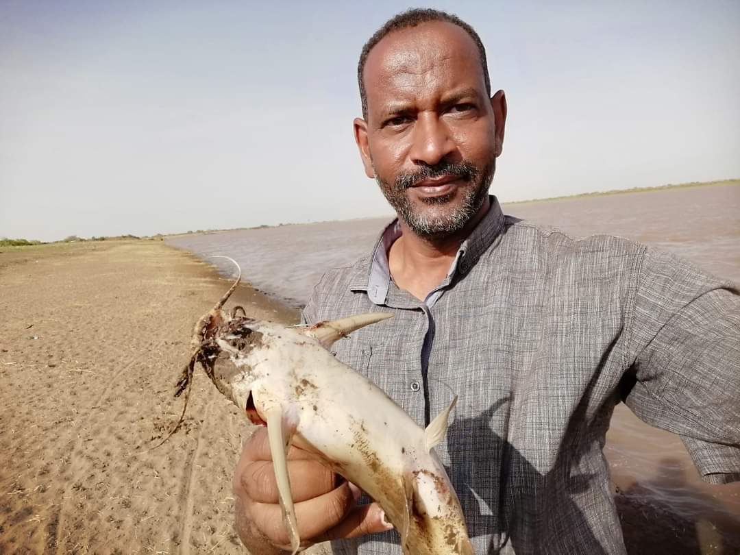 FB IMG 1689055753616