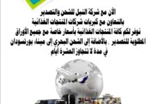 IMG ٢٠٢٣٠٨٢٣ ١٩١٧٣٠ 1