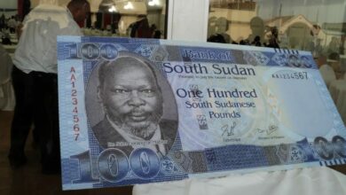 جنيه جنوب السودان 1024x768 1