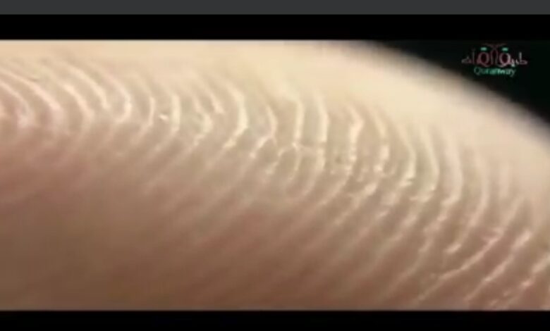 Screenshot ٢٠٢٣١٠٠٤ ١٤٤٣٠٤
