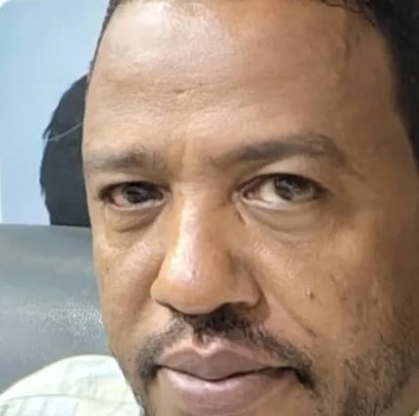 مامون