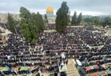 13a4baa0 fb46 11ef a1bb 03f8acad060b file 1741346386755 68653042