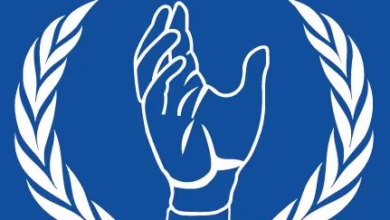 FB IMG 1748071192826