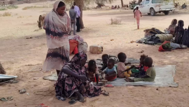 الأسر النازحة من الفاشر للطويلة أبريل 2025 المنسقية العامة للاجئين والنازحين