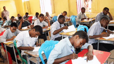 نتيجة الشهادة السودانية 2025 2
