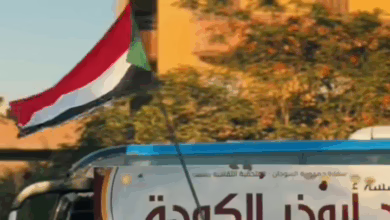 Screenshot ٢٠٢٥٠٧١١ ١٤٠٣٥٣2