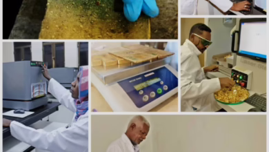 Screenshot ٢٠٢٥٠٨٠٧ ١٧٠٧٢٠ WhatsApp