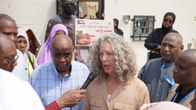 Screenshot ٢٠٢٥٠٩١٥ ١٧١٢٣٦ Gallery