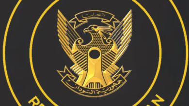 مجلس الوزراء.png