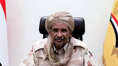 سيبلالثيبلزر1 1742075011