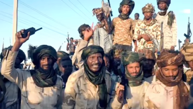 56566556 1714371656 1