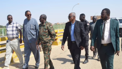 584442339 805008585841571 7009375032300906406 n 1