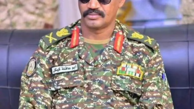 IMG 20251118 WA0354 1