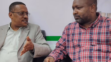 IMG ٢٠٢٥١١٠٣ ١٦٤٧٤٨