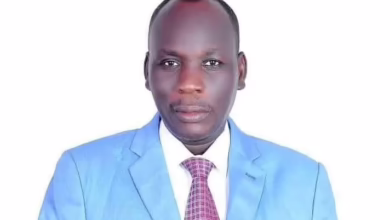 0ef588bc 83ca 44d4 8bcf 19814fe2b99f 712x430 1