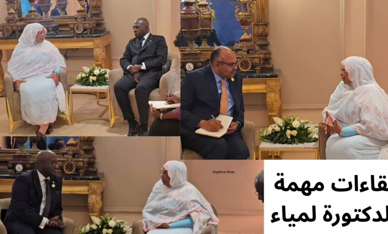 Black White Grayscale Portfolio Presentation 20251222 120917 ٠٠٠٠