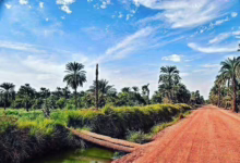 FB IMG 1765362938773