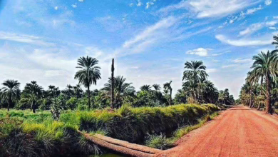 FB IMG 1765362938773