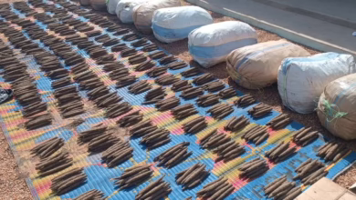 IMG 20251201 WA0014 1