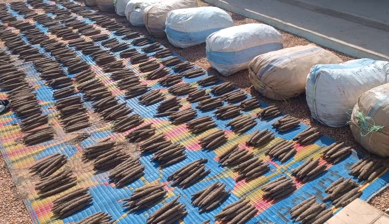 IMG 20251201 WA0014 1