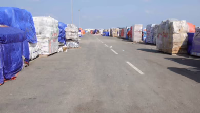 IMG 20251203 WA0029 2