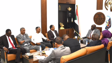 IMG 20251209 WA0023 1