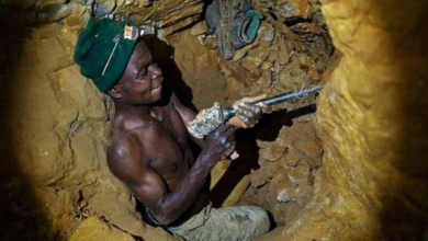 IMG ٢٠٢٤٠٨٠٦ ٢٢٥٣٣٨