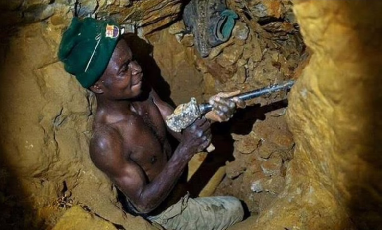 IMG ٢٠٢٤٠٨٠٦ ٢٢٥٣٣٨