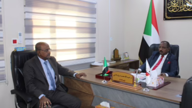 Screenshot ٢٠٢٥١٢١٨ ٢٠٤٣٥٣ com hihonor photos SlotAlbumActivity edit 14248917173781