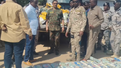 IMG 20260113 WA00301