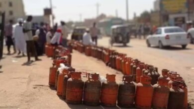 aluom 2024 08 09T103344.867 1200x675.jpg