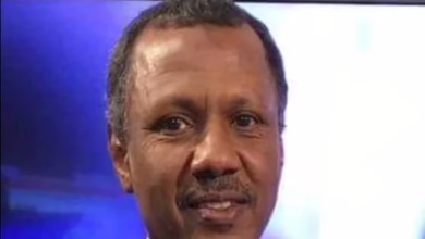 ابراهيم الصديق عي