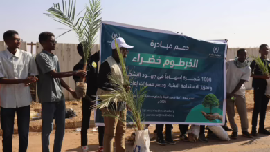 FB IMG 1771063748361